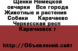 Щенки Немецкой овчарки - Все города Животные и растения » Собаки   . Карачаево-Черкесская респ.,Карачаевск г.